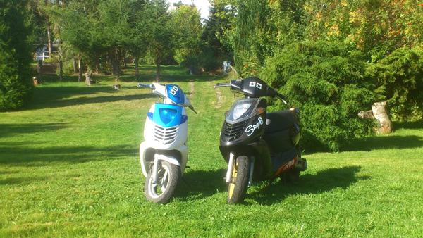 Sonic Blok Købes...