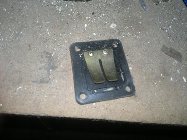 Hvilken membran er denne :)