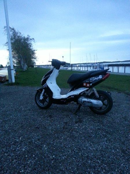 Hvem har denne jog r?