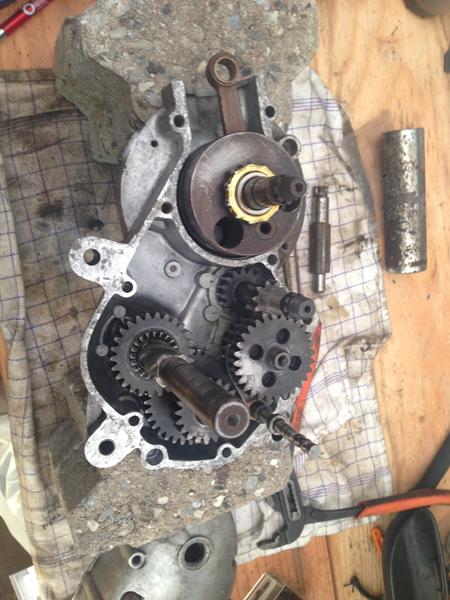 puch ms 50 Kloge hoveder ! :D 