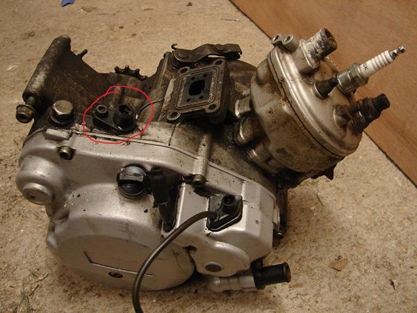 hvad er denne studs til?