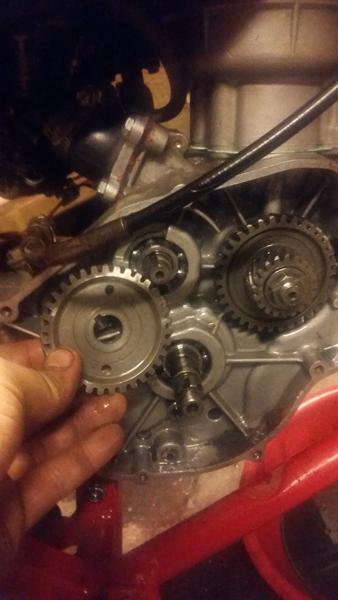 rieju motor ..hjælp