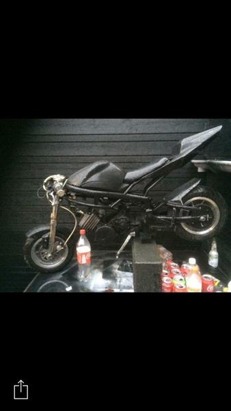 Spørgsmål om pris på en Pocket Bike