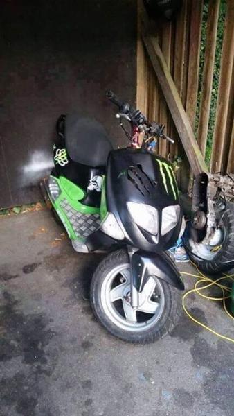 PGO T-REX 30 knallert???