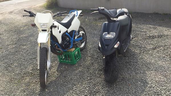 Stalker cylle og udst