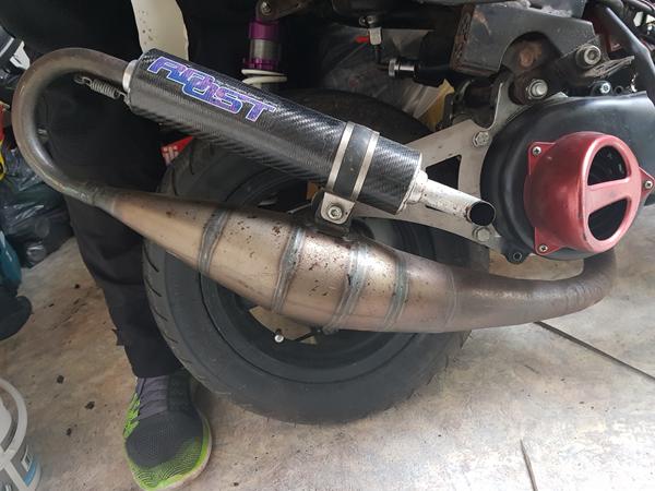 Hvilken Roost er dette ?