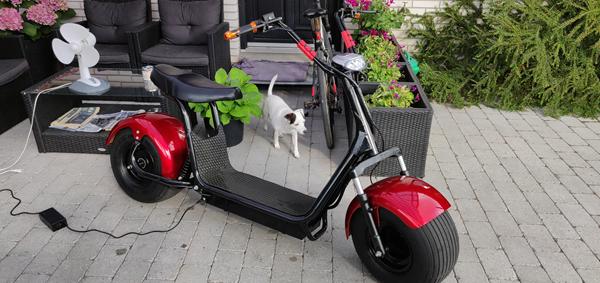 Fatboy Lowrider/ebike - stelnr og hvordan registreres? 