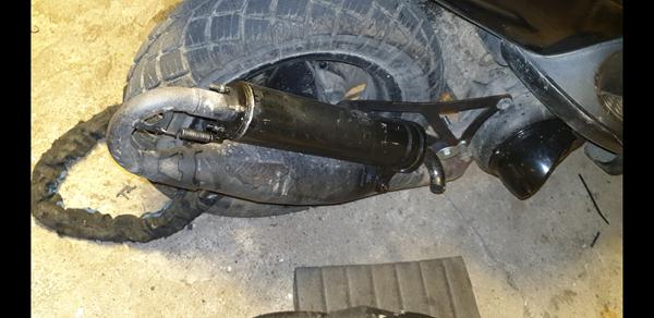 Hvilken Yasuni er det?