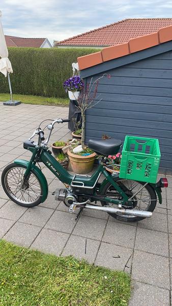 Puch maxi p 1984 ryger for meget 