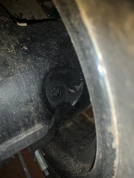 Gilera stalker olieskrue  