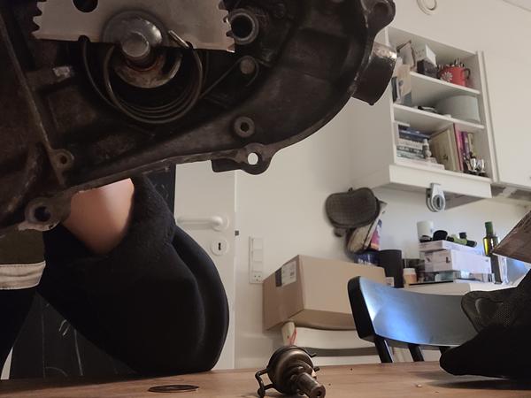 kickstarter indmad pgo pmx