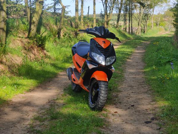 Passer Variator og kobling fra pgo over på Peugeot?