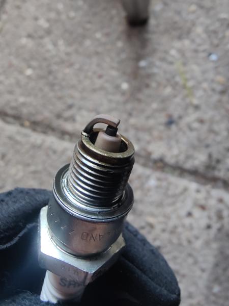 Hot 50 tændrør farve