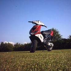 Peugeot Speedfight LCE "SOLGT"