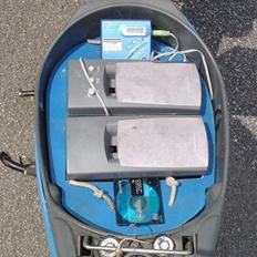 Honda wallaroo (wollaen)