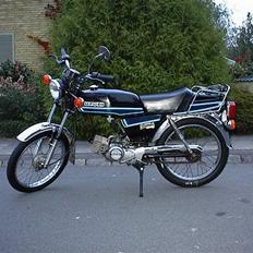Suzuki                        DM