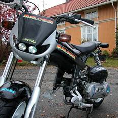 Suzuki Street Magic