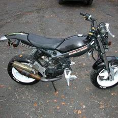 Suzuki Street Magic