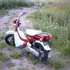 Suzuki FZ50