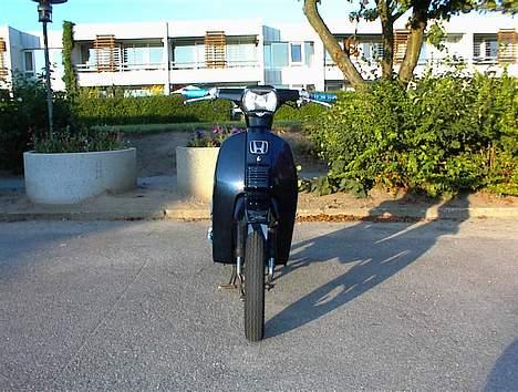 Honda Melody billede 1