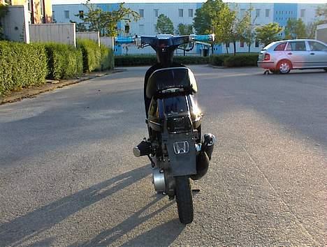 Honda Melody billede 4