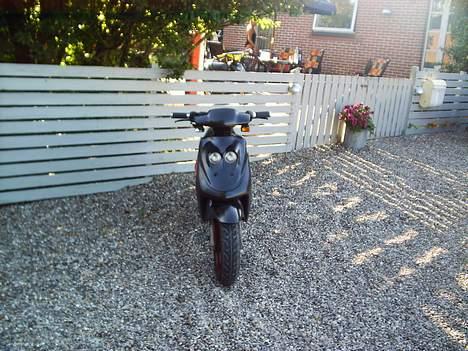 Adly cat 50 billede 3