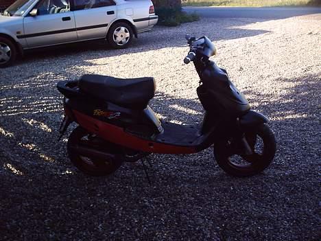 Adly cat 50 billede 2