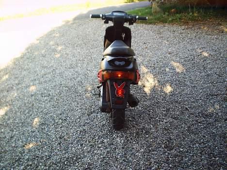 Adly cat 50 billede 4