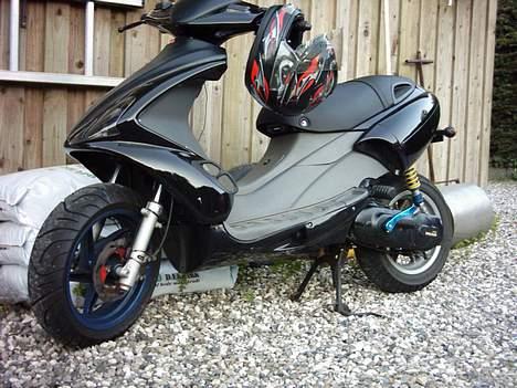 Benelli 491 billede 1