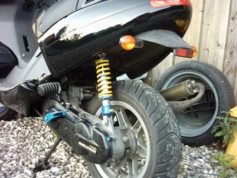 Benelli 491 billede 3