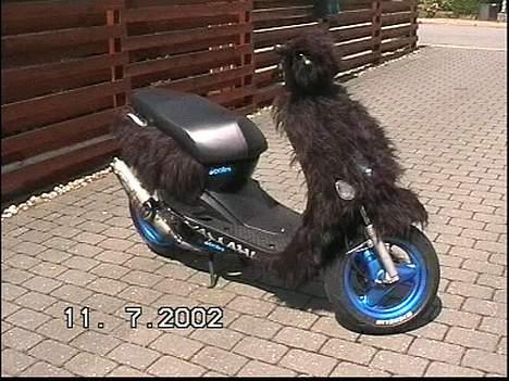 Yamaha neo's billede 1