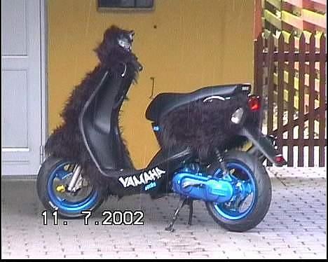 Yamaha neo's billede 2