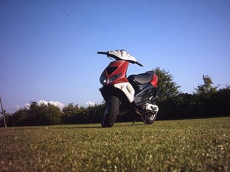 Peugeot Speedfight LCE "SOLGT" billede 1