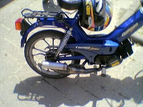 Tomos quadro billede 1