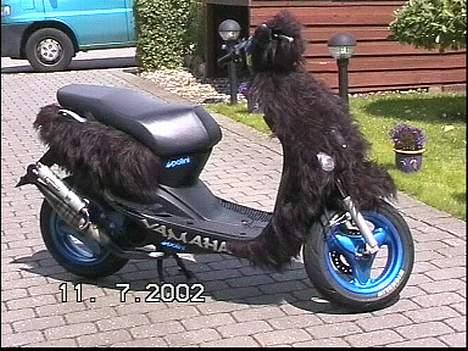 Yamaha neo's billede 3