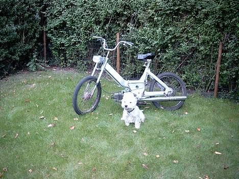 Puch maxi P billede 3