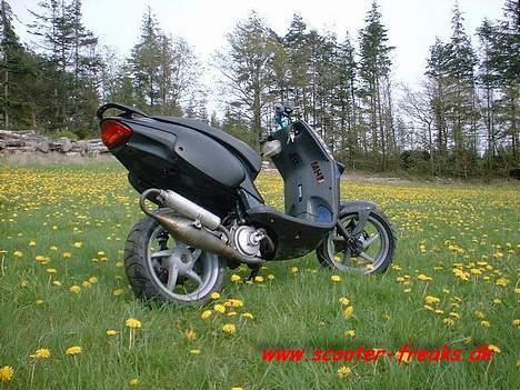 Aprilia Rally LC-STT (Solgt) billede 1