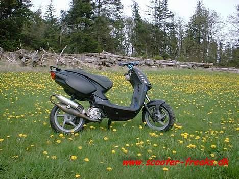 Aprilia Rally LC-STT (Solgt) billede 2