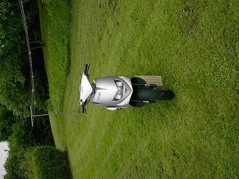 Suzuki Estilete billede 4