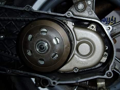 Benelli 491 ST billede 2