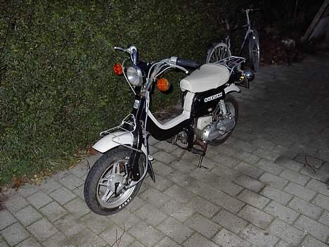 Suzuki Fz 50 (solgt) - ja......og en hund.......og en ostemad med skruelåg! wouf!!! billede 4