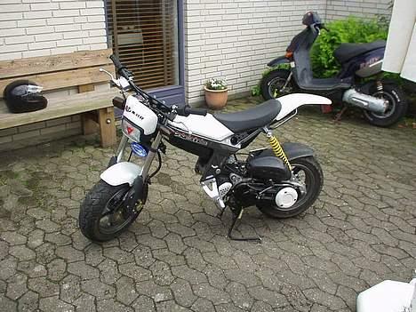 Suzuki Street Magic - Gammelt billed ! billede 1