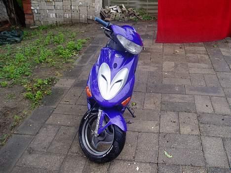 Adly Silverfox billede 4