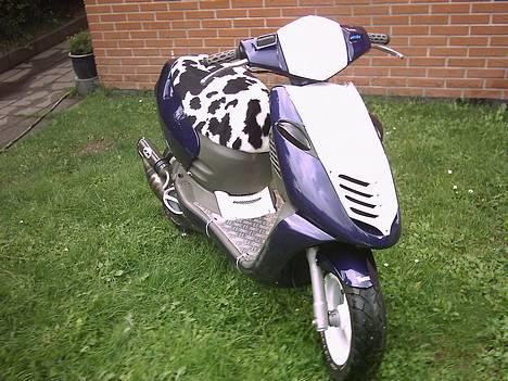 Aprilia Sonic billede 5