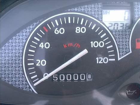 Piaggio Typhoon LC  - Her runder jeg så de 50.000 km. billede 2