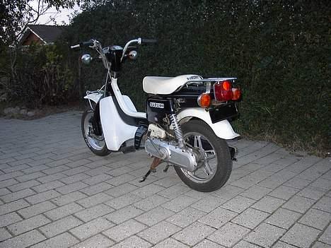 Suzuki Fz 50 (solgt) - Det er så fra dengang da den havde benskjold på.... billede 5