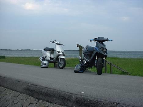 Piaggio Zip LC (FØR) billede 1