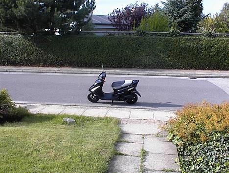 Honda SFX  billede 1