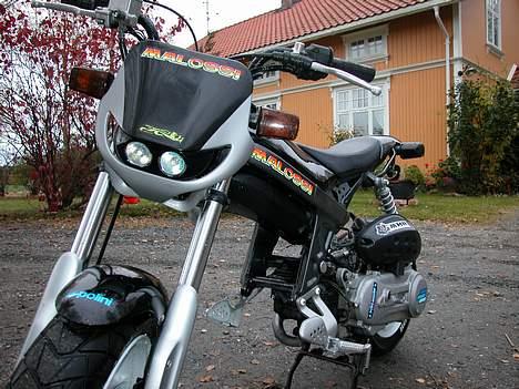 Suzuki Street Magic billede 1