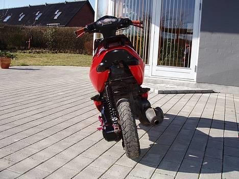 Aprilia Sonic Red & Black (Solgt) billede 4